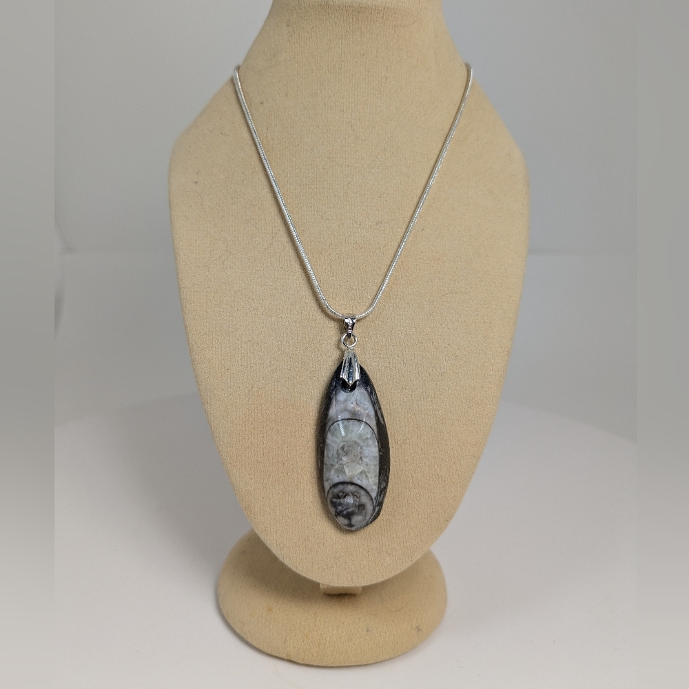 Natural Orthoceras Necklace, Fossil Squid, Gemstone Jewelry, Gift Idea